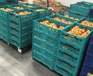 在宅で内職！トラブったみかんのネット詰め！！さらに・・・